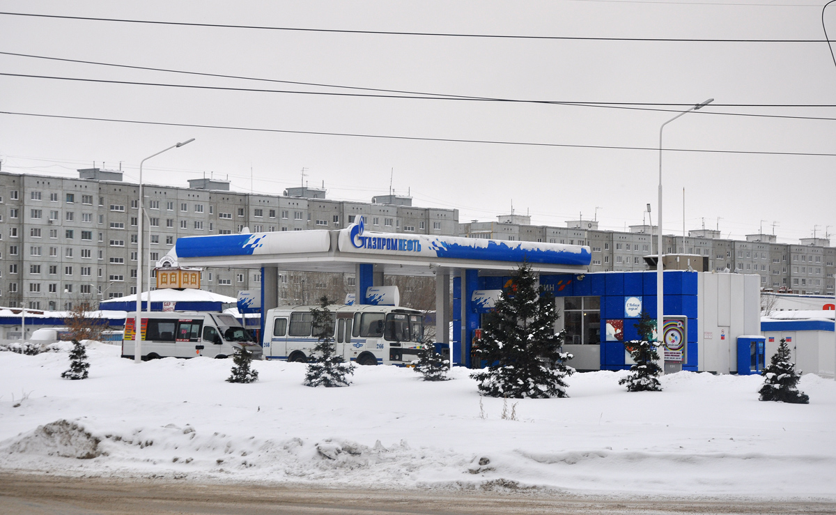 Омск, Улица Перелёта, 10