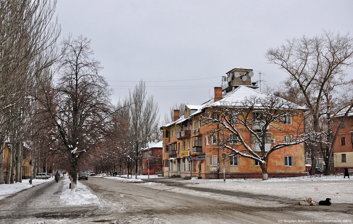 Днепр, Улица Космонавта Волкова, 11