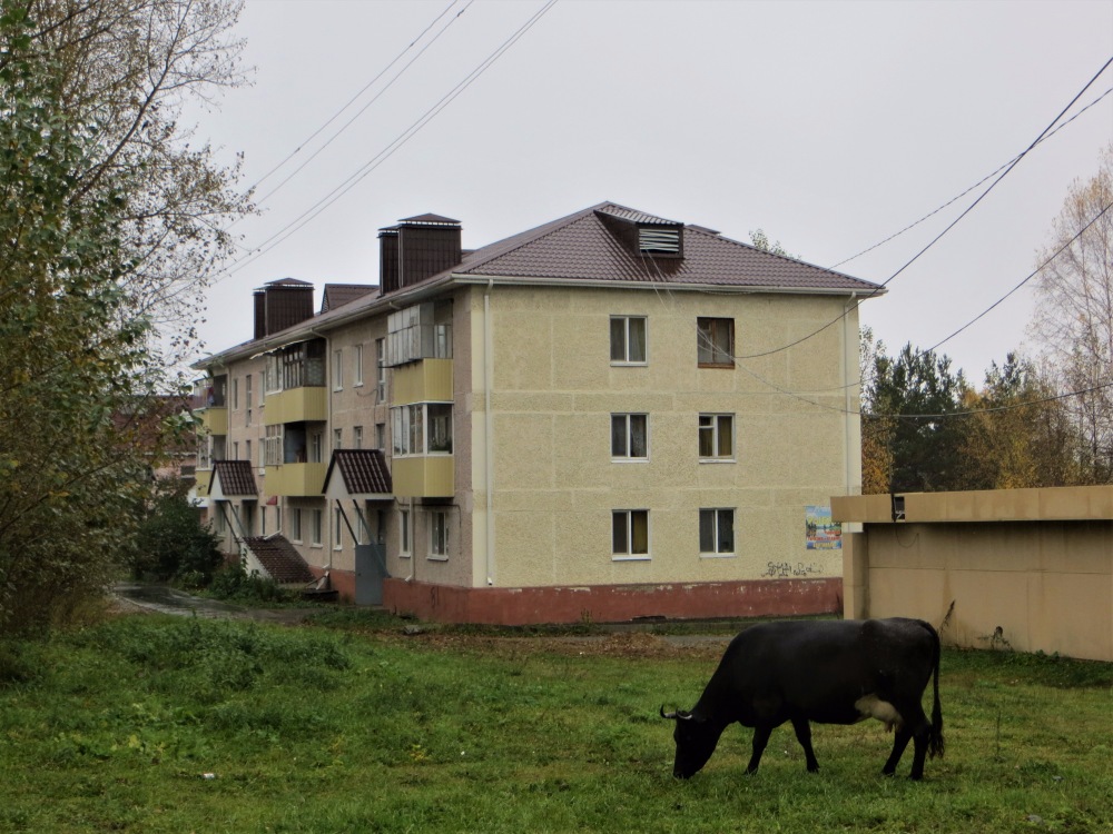 Ивдель, Улица Данилова, 84