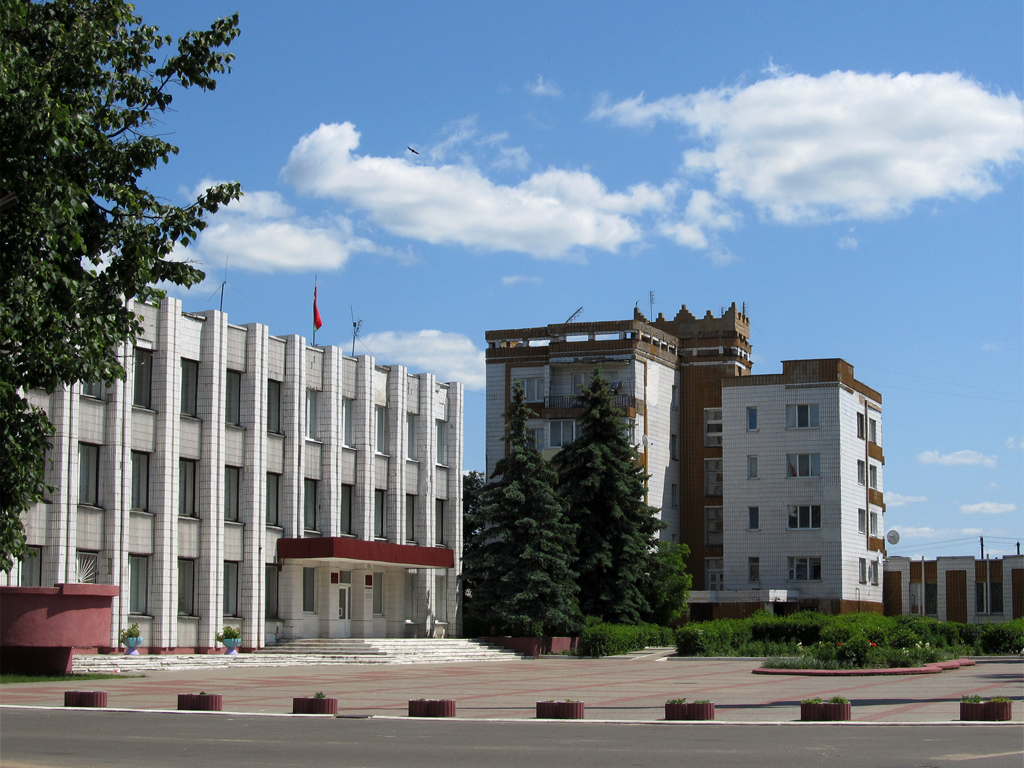 Любанский район, прочие н.п., Сорочи, улица Чкалова