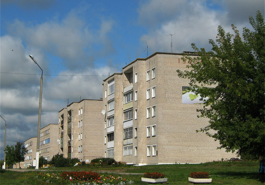 Крупки, Полевая улица, 2; Полевая улица, 4