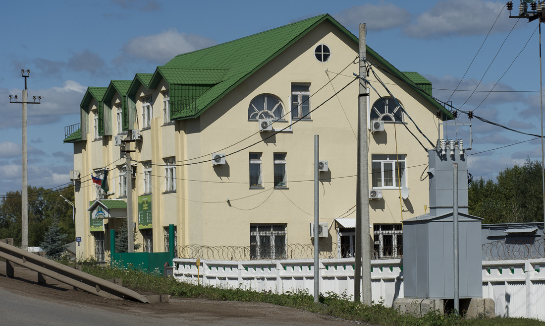 Уфимский район, прочие н.п., с. Чесноковка, Школьная улица, 1