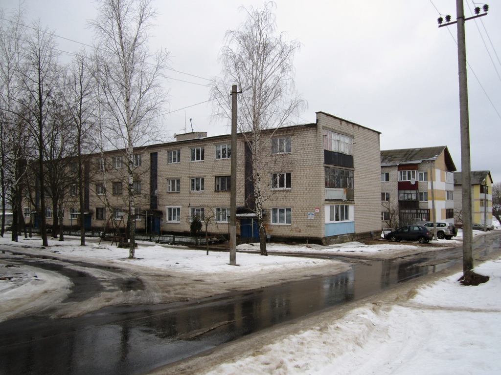 Рогачёв, Улица Калинина, 42; Улица Калинина, 44; Улица Калинина, 46
