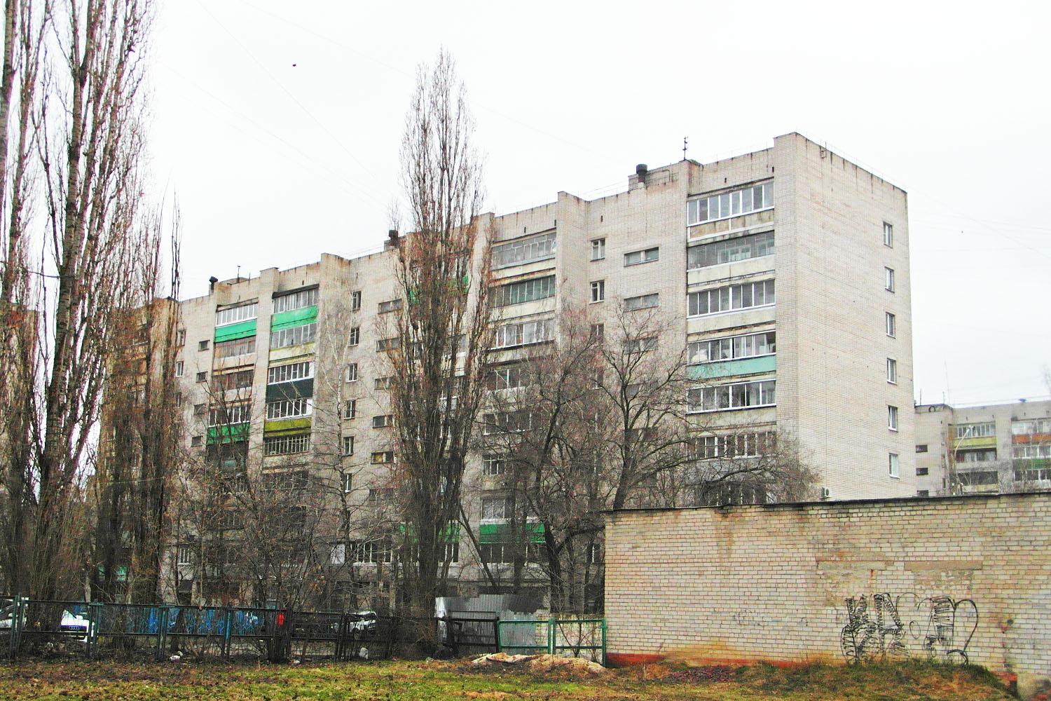 Воронеж, Улица Генерала Лизюкова, 12