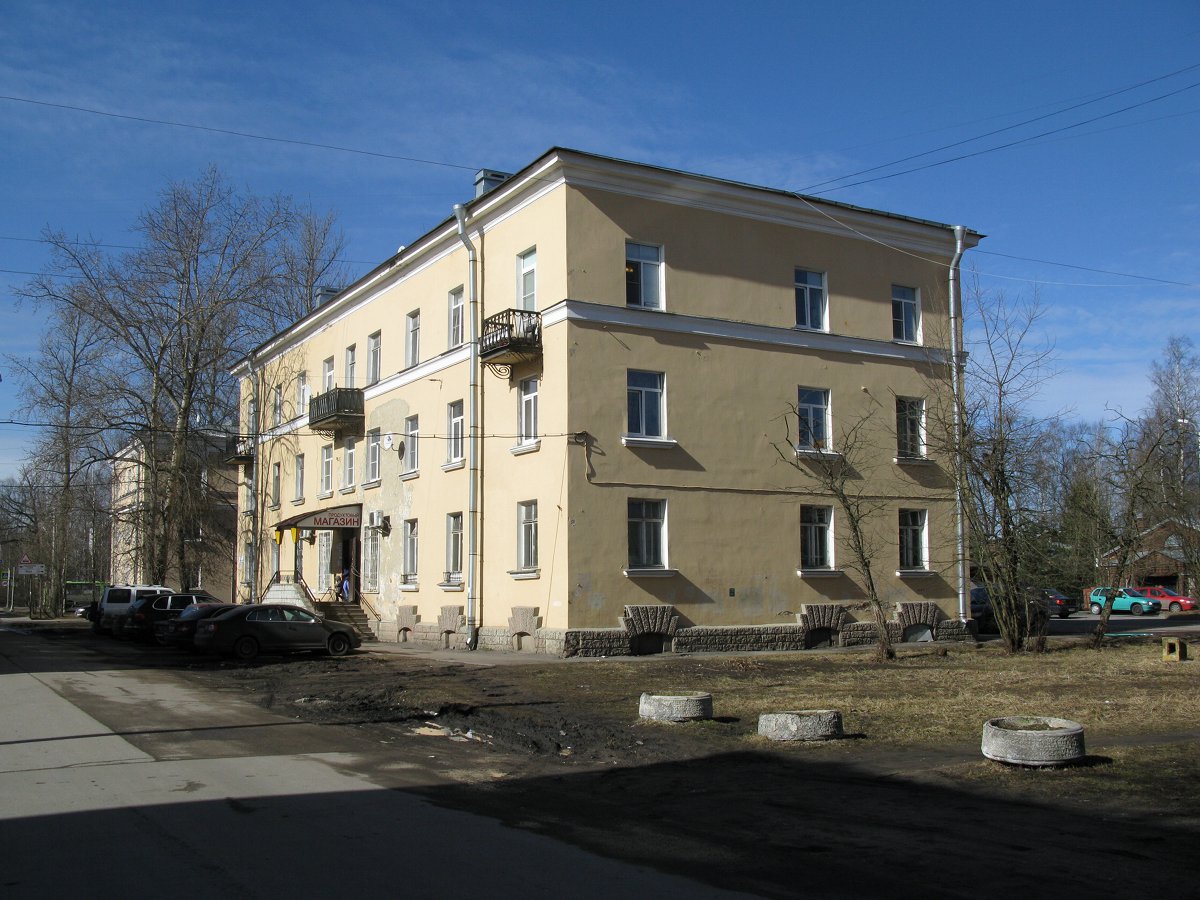 Санкт-Петербург, Ковалёвская улица, 10