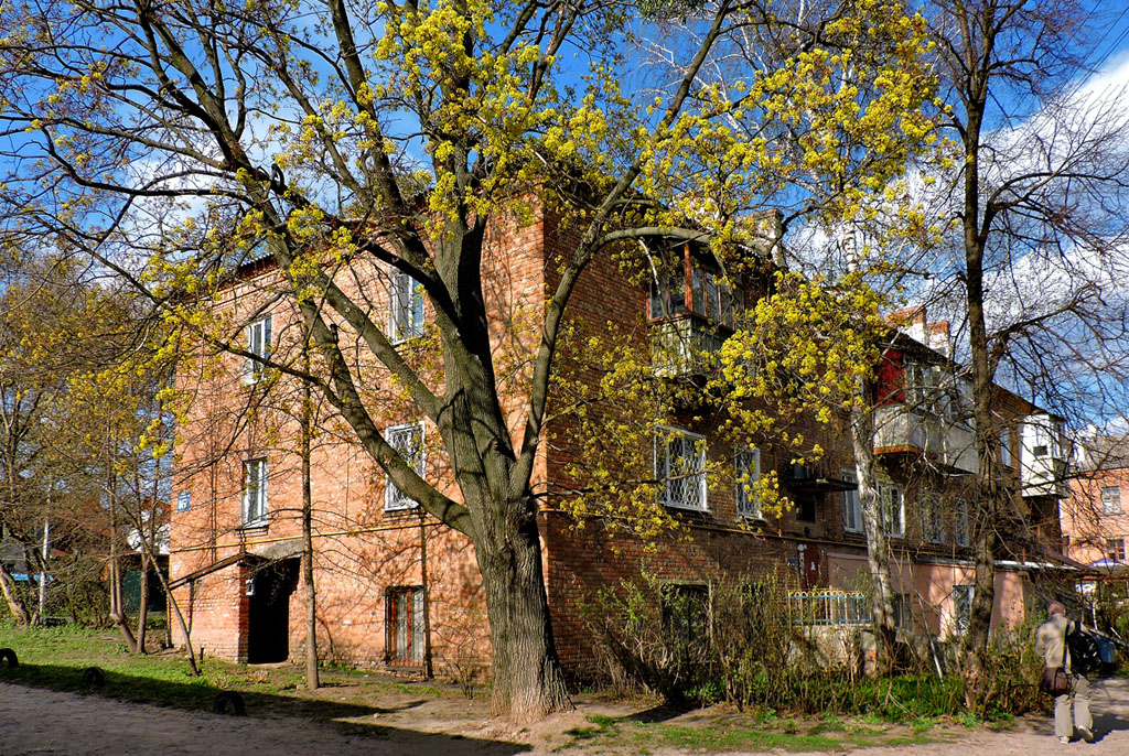 Харьков, Алексеевская улица, 16