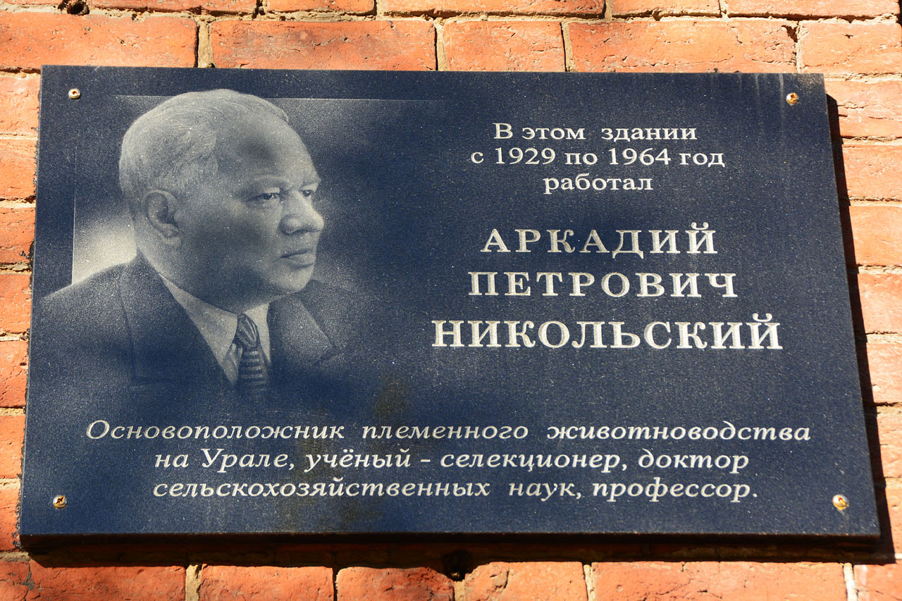 Пермь, петропавловская улица, 23 / Улица 25 Октября, 10