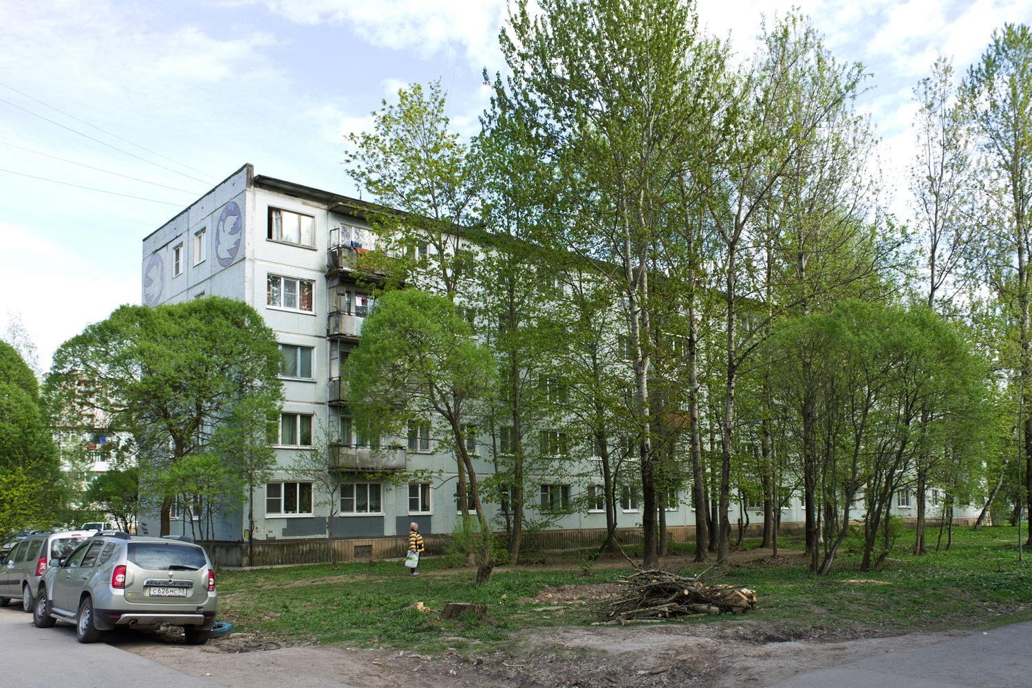 Великий Новгород, Улица Зелинского, 29