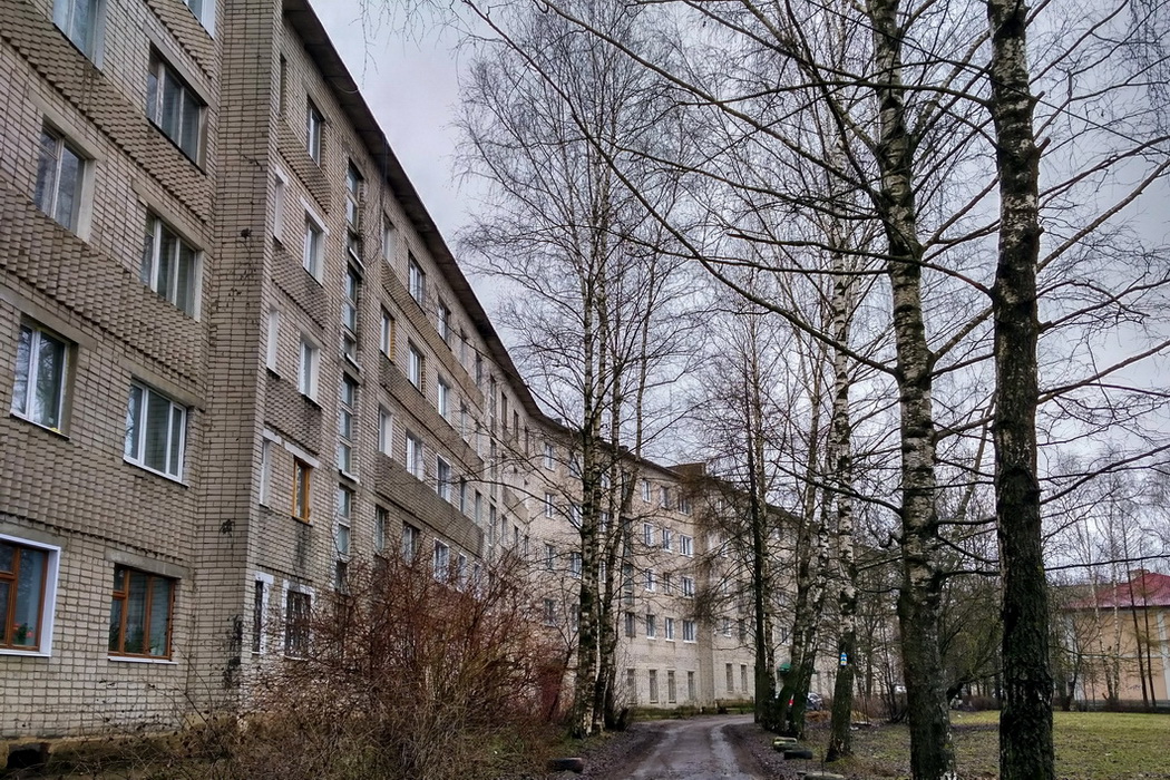 Переславль-Залесский, Улица Менделеева, 40