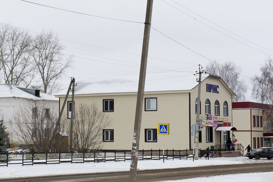 Благоварский район, прочие н.п., с. Языково, улица Пушкина, 13А