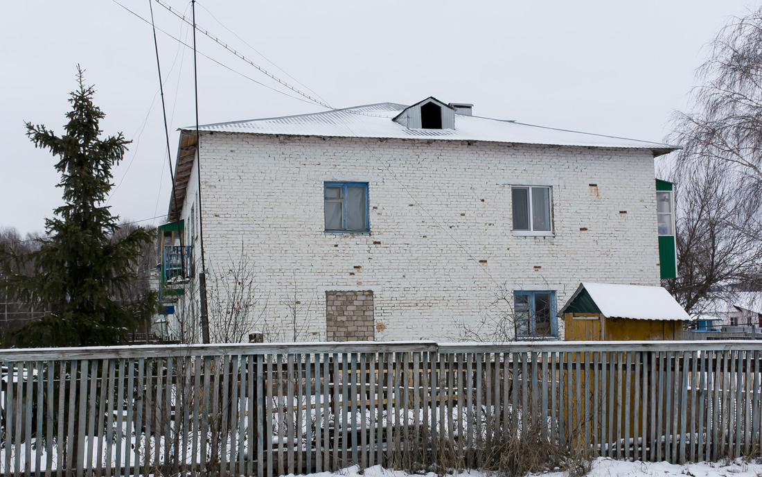 Благоварский район, прочие н.п., с. Языково, улица Чапаева, 19