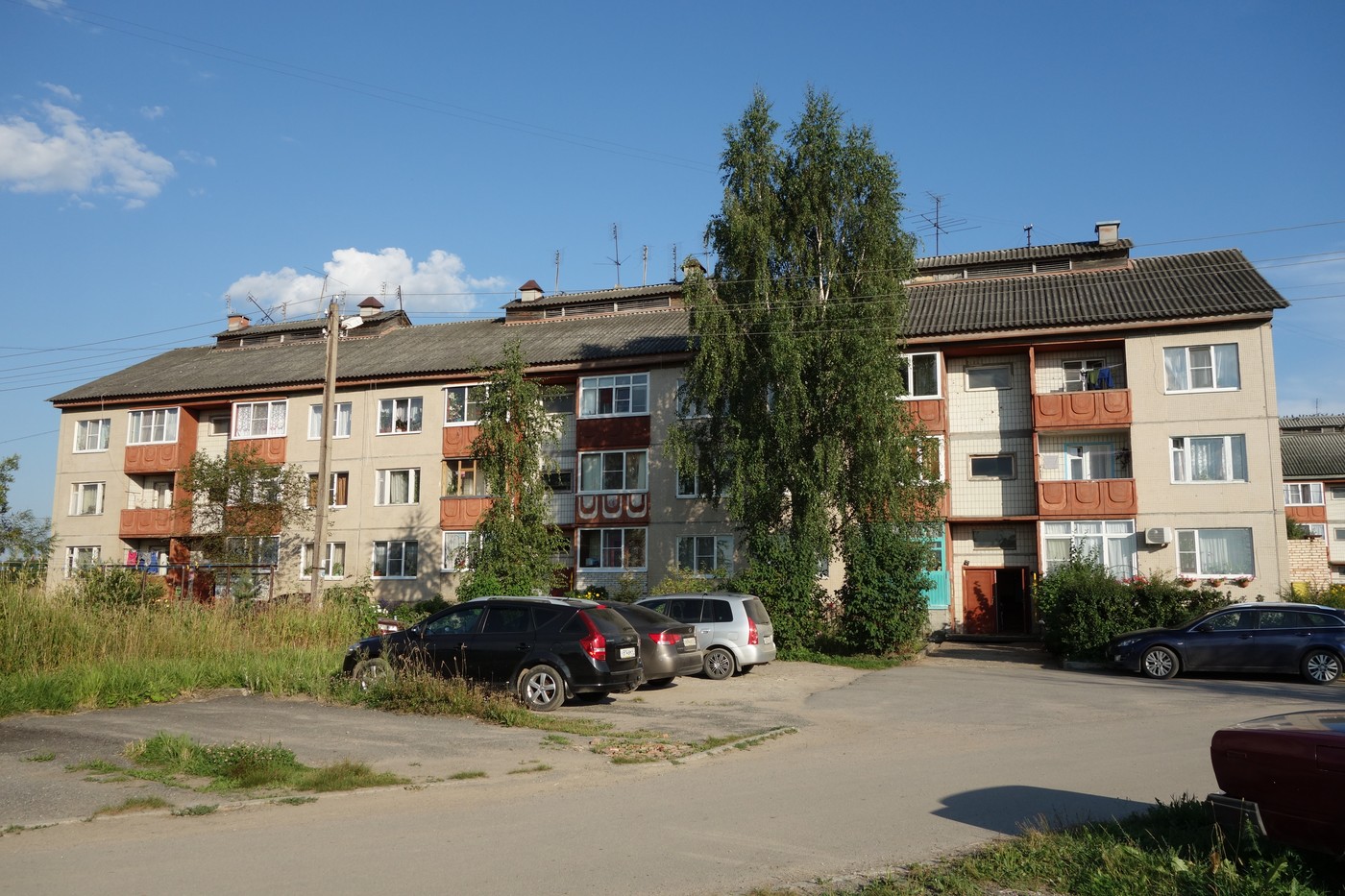 Тосненский район, прочие н. п., Трубников Бор, улица Мира, 2