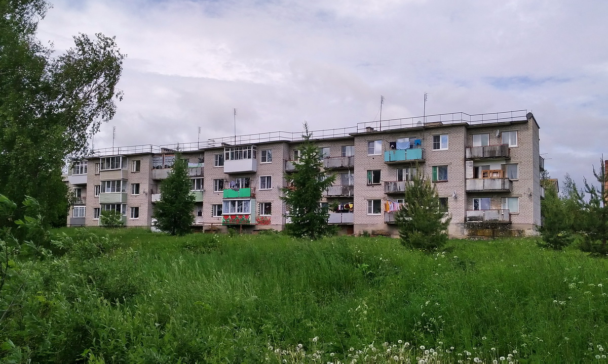 Переславский район, прочие н.п., пос. Дубки, Новая улица, 5