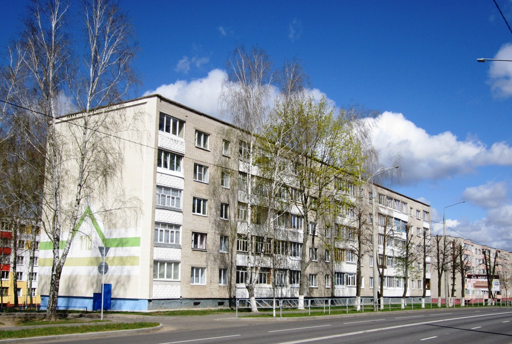 Рогачёв, Улица Ленина, 110