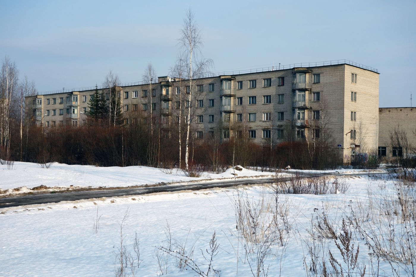 Тихвин, Улица Борисова, 2