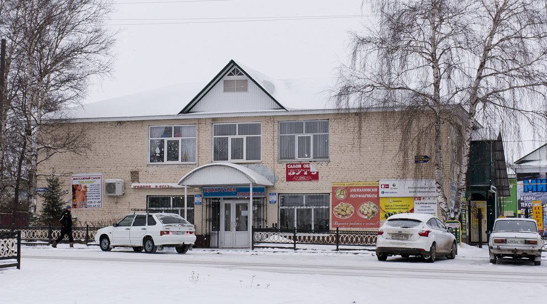 Благоварский район, прочие н.п., с. Языково, улица Пушкина, 11