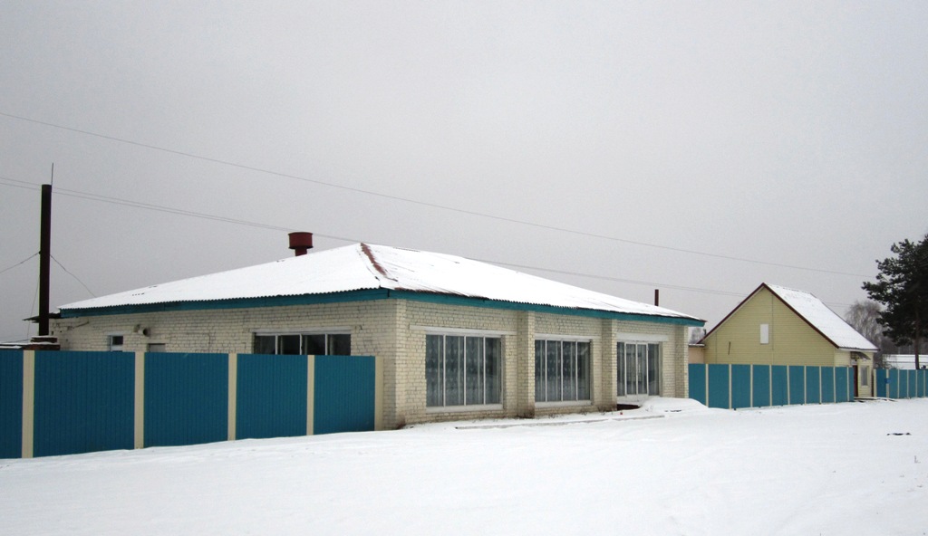 Рогачёв, Заречная улица, 119а*