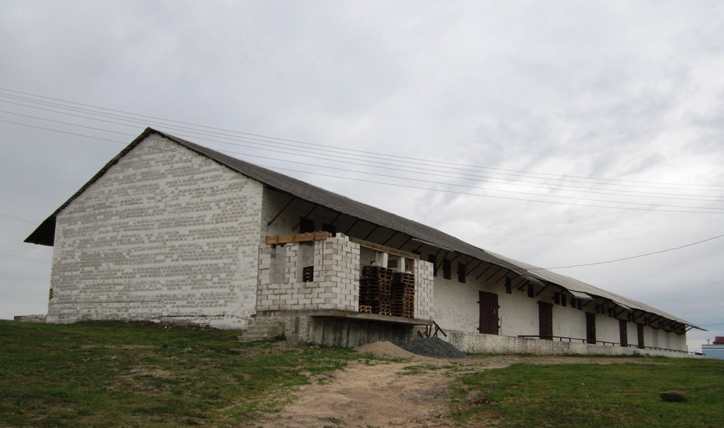 Рогачёв, Улица Белинского, 11*