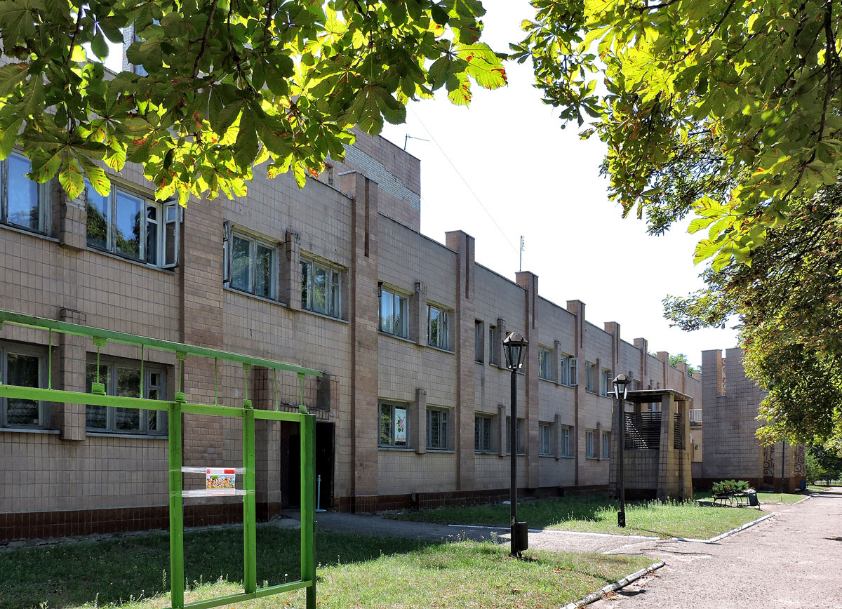Боровая, Улица Мира, 19