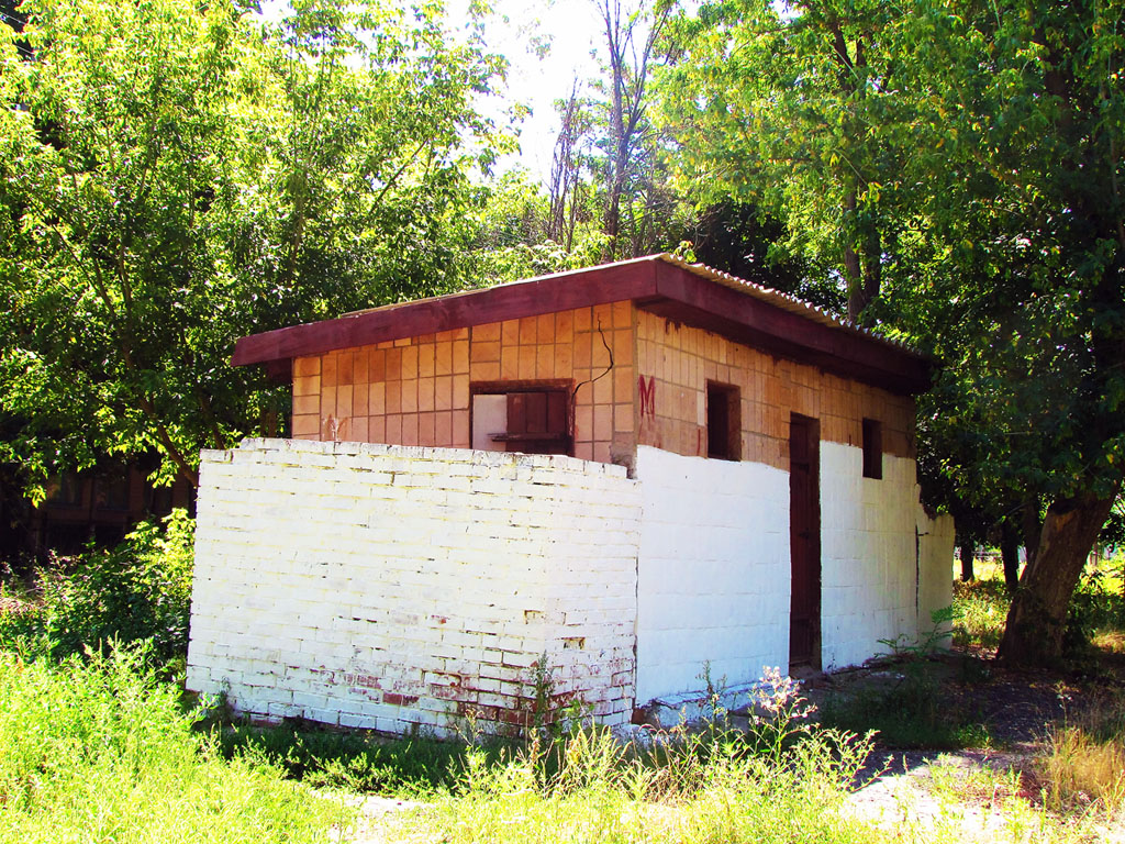 Боровая, Улица Мира, 19*