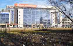 491 КБ