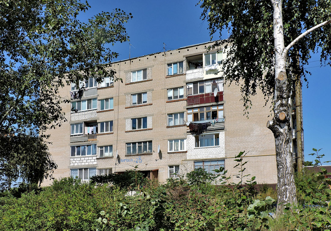 Васищево, Вишнёвая улица, 2В