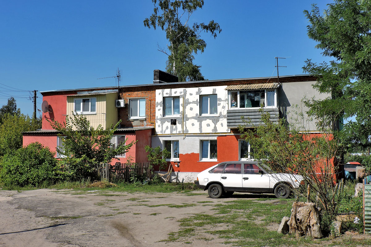 Васищево, Вишнёвая улица, 9