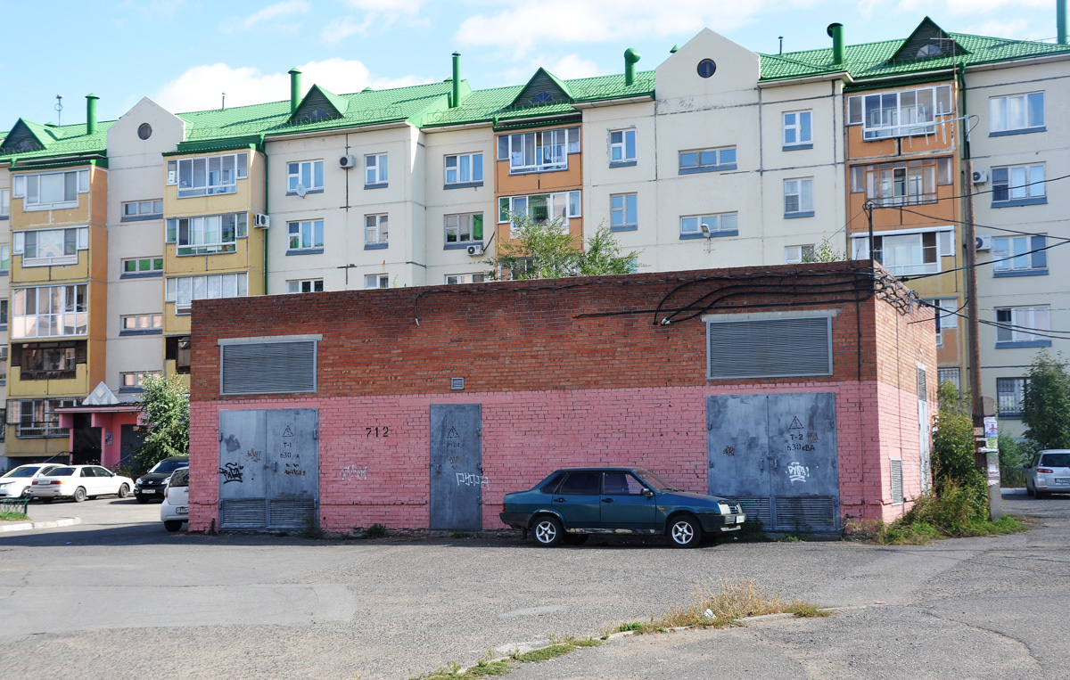 Омск, Улица 8-я линия, 219*