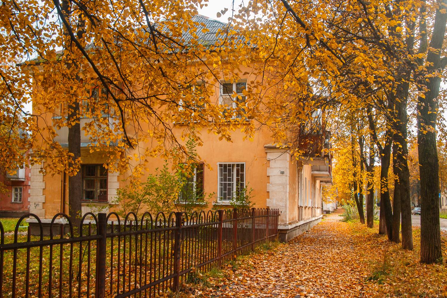 Глазов, Улица Мира, 5