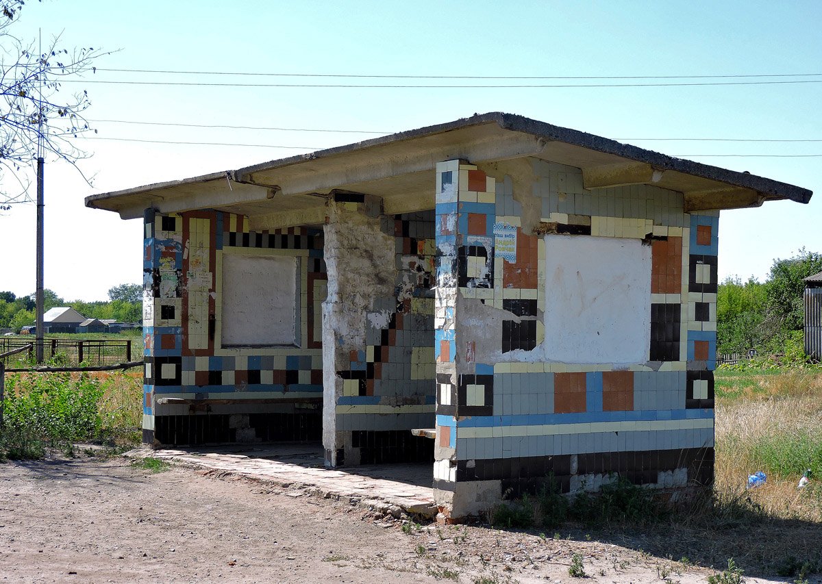 Боровской район, прочие н.п., с. Загрызово, Центральная улица, ?