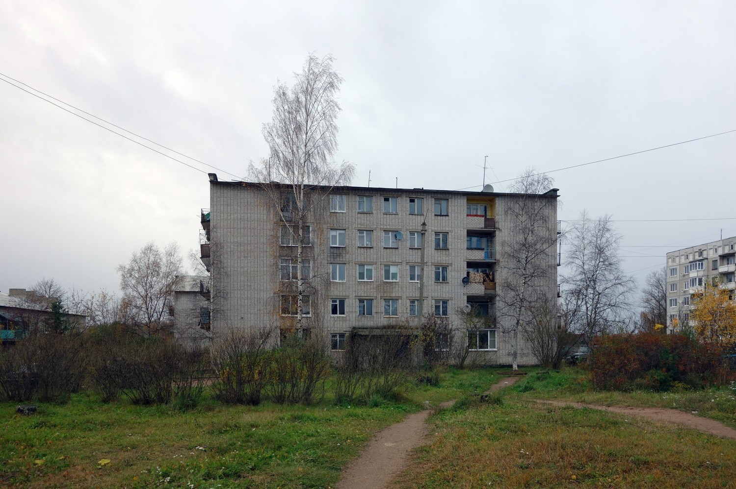 Бологовский район, прочие н.п., с. Выползово, Улица Берёзовая Роща, 6