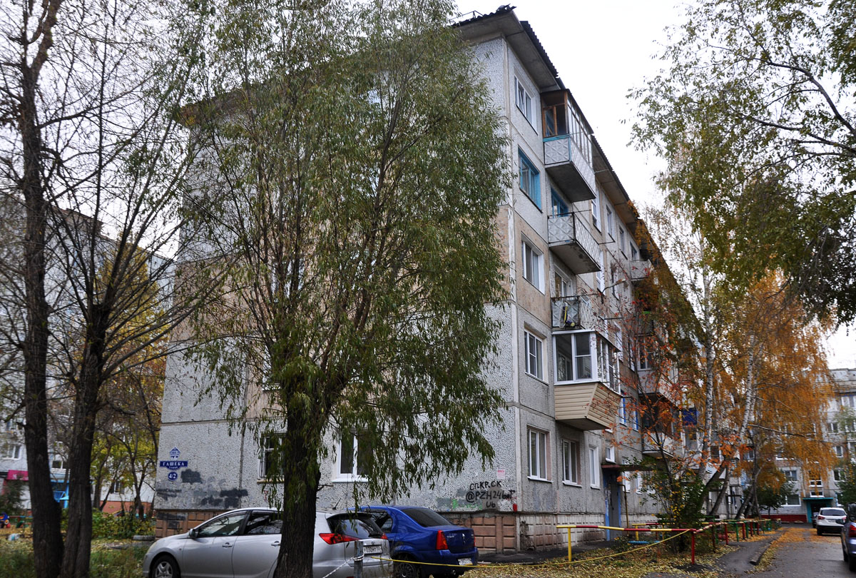 Омск, Улица Ярослава Гашека, 4/2