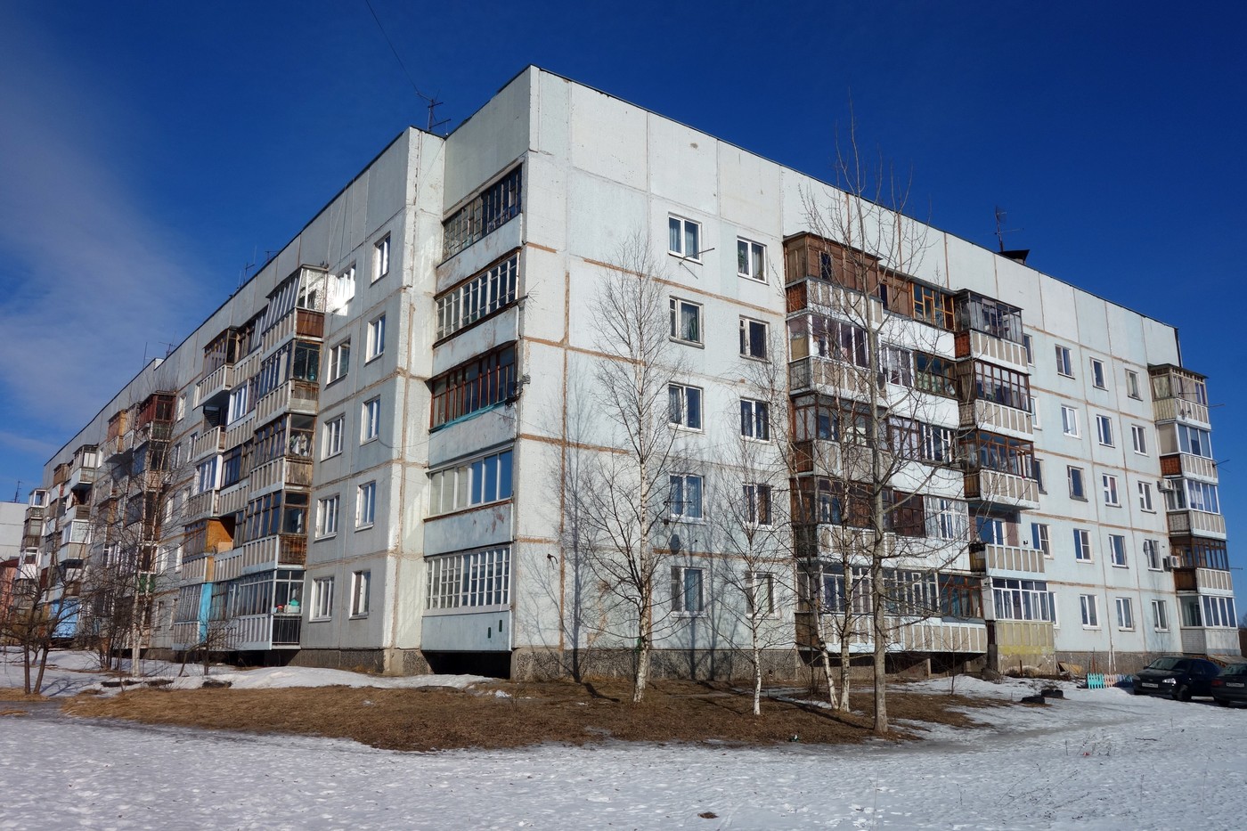 Новгородский район, прочие н.п., Дер. Трубичино, 38