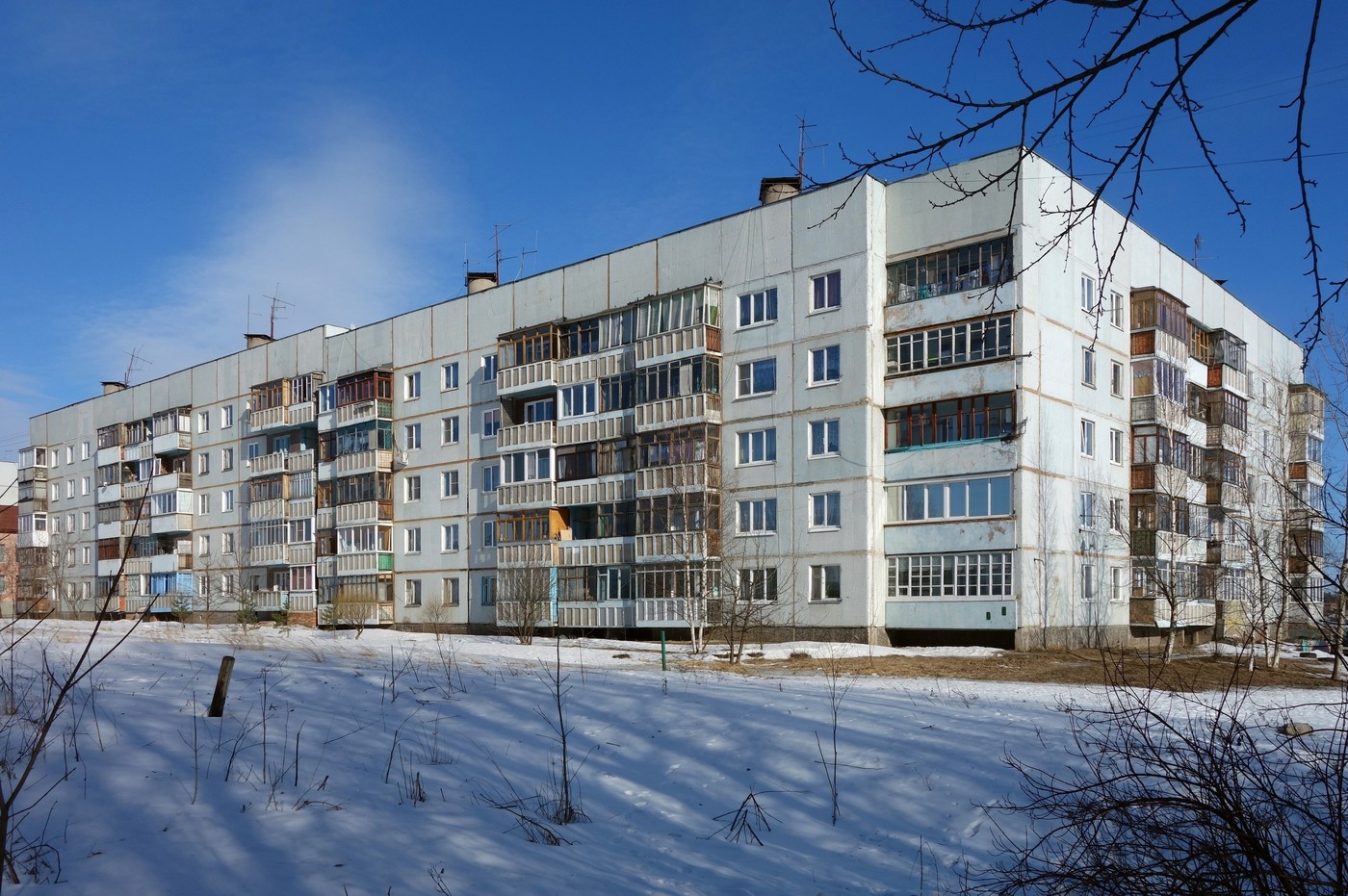 Новгородский район, прочие н.п., Дер. Трубичино, 38