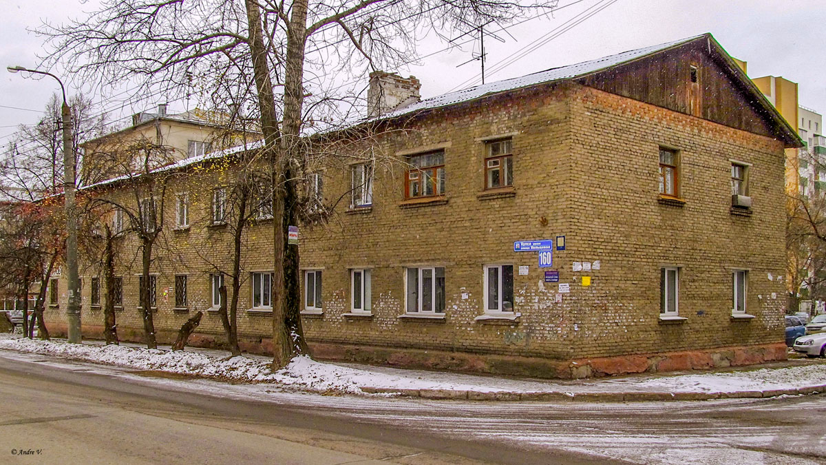 Ufa, Кольцевая улица, 160