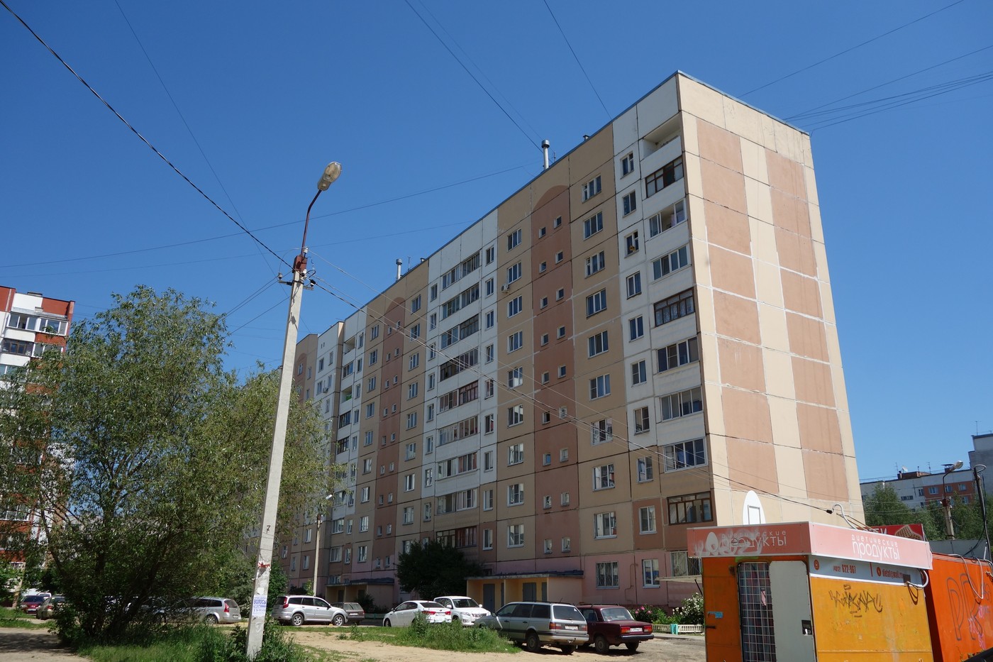Смоленск, Улица Попова, 130
