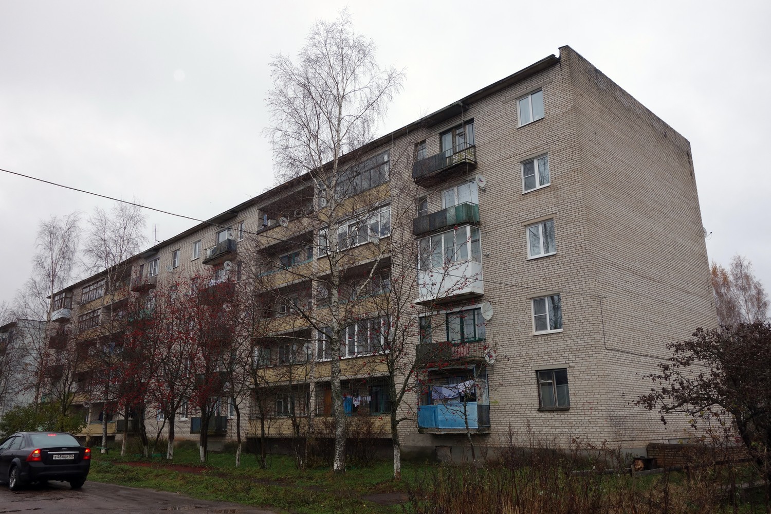 Старорусский район, прочие н.п., пос. Новосельский, Улица Алексеева, 17
