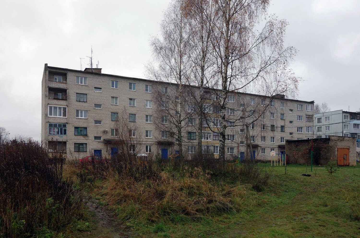 Старорусский район, прочие н.п., пос. Новосельский, Улица Алексеева, 17