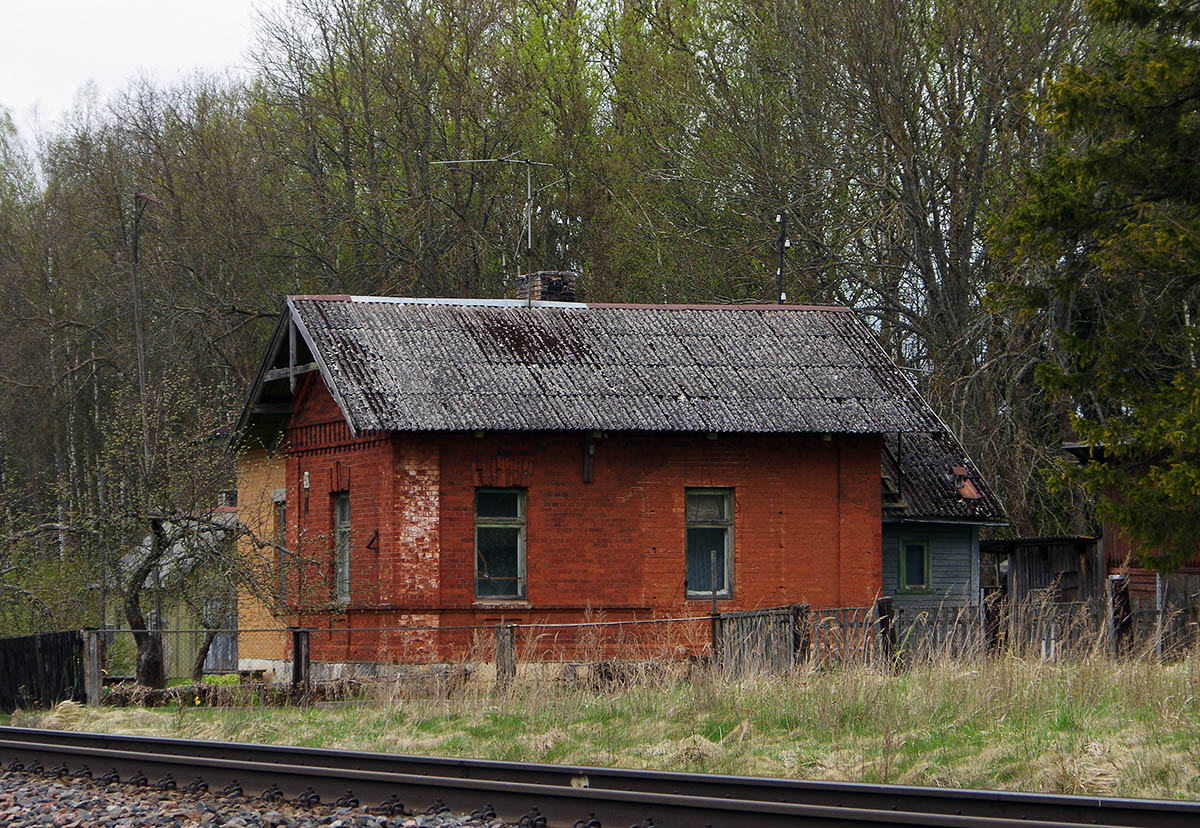 Кастли, Timsa talu, A