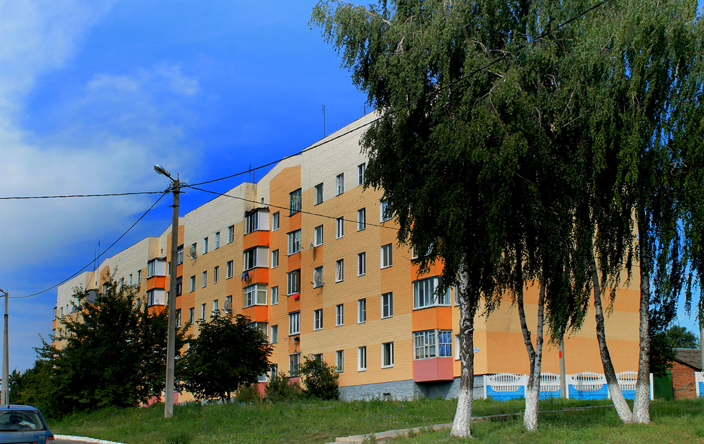 Лоев, Улица Пинчука, 2