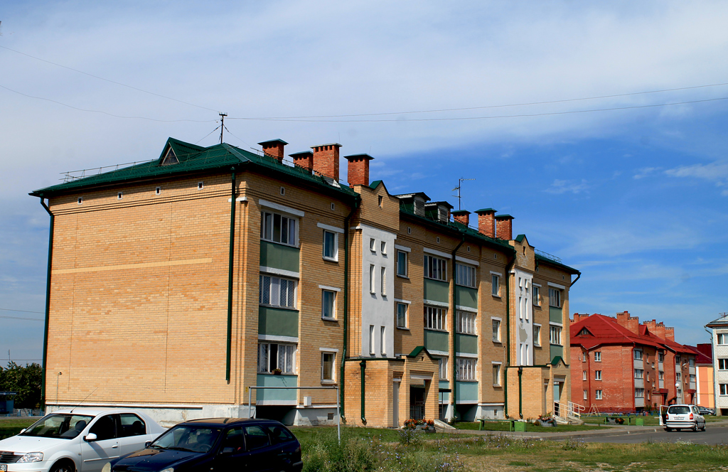 Лоев, Улица Шевелева, 100