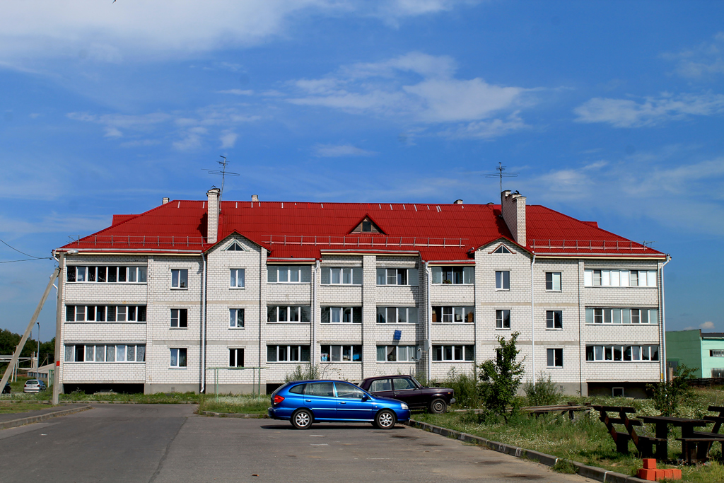 Лоев, Улица Шевелева, 110
