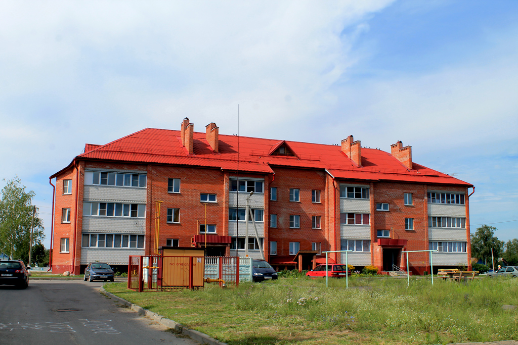 Лоев, Улица Шевелева, 106