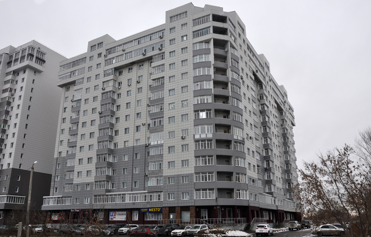 Омск, Улица Конева, 6