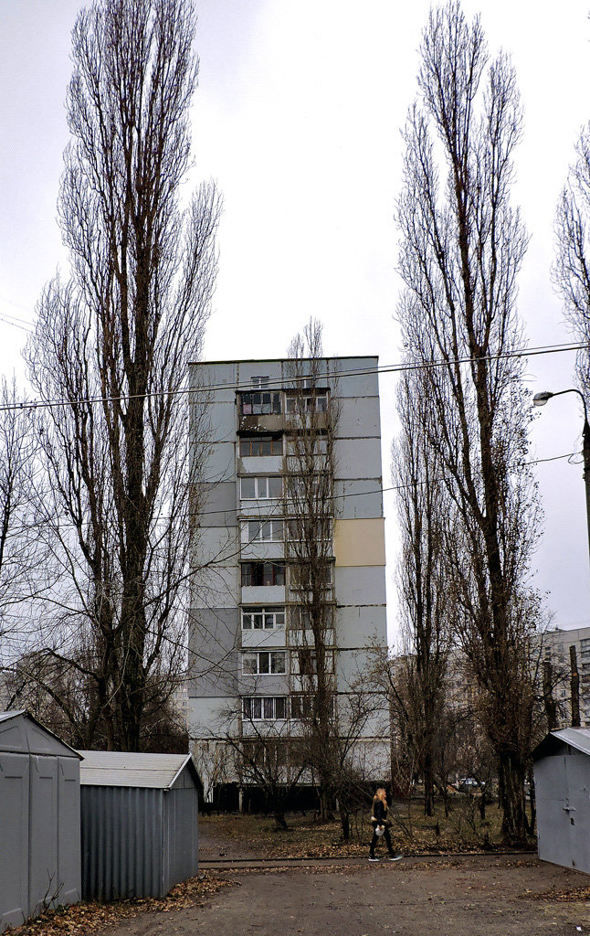 Харьков, Салтовское шоссе, 256А