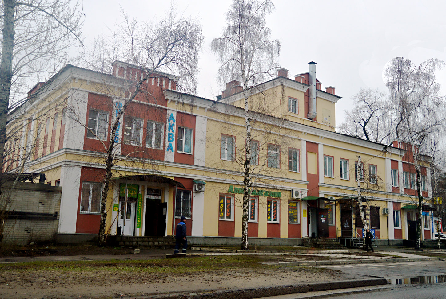 Воронеж, Ленинградская улица, 45