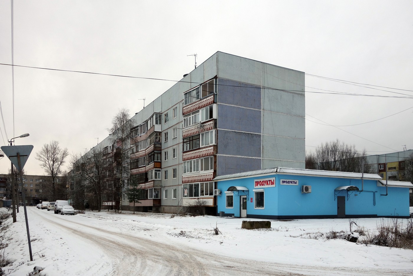 Боровичи, Улица Дзержинского, 91