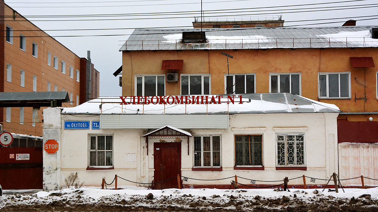 Пермь, Улица Окулова, 73а