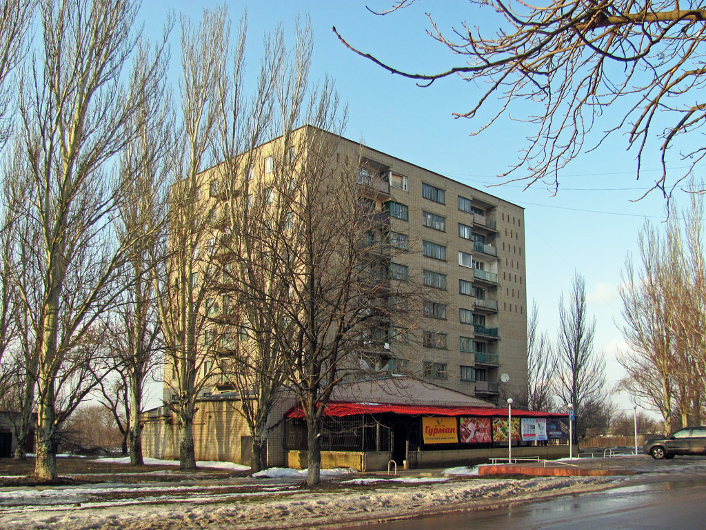 Попасная, Улица Мира, 163