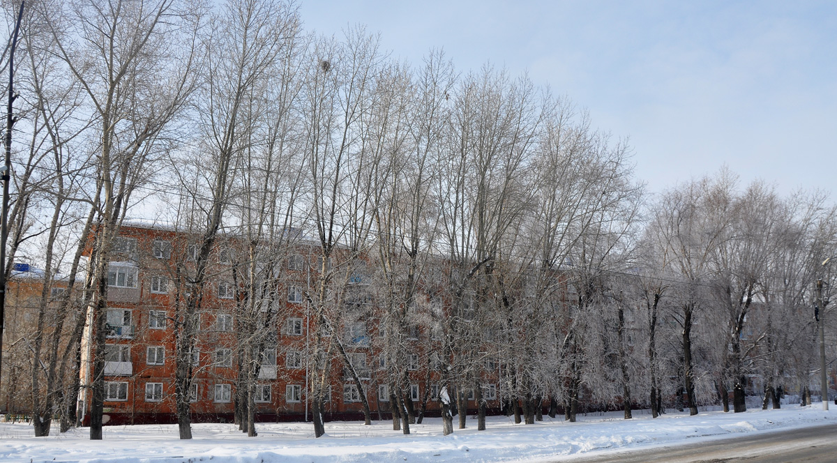 Омск, 4-я улица Челюскинцев, 113